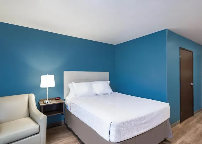 Woodspring Chicago